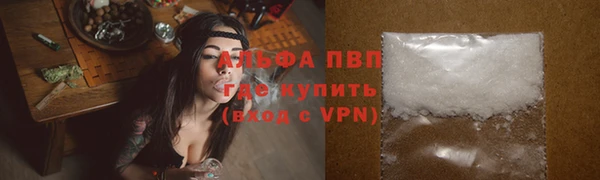 прущие грибы Покачи