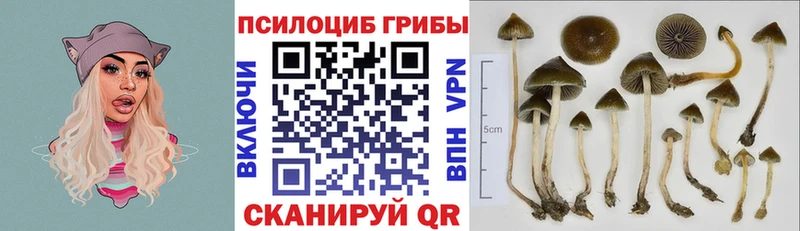 Псилоцибиновые грибы ЛСД Сатка