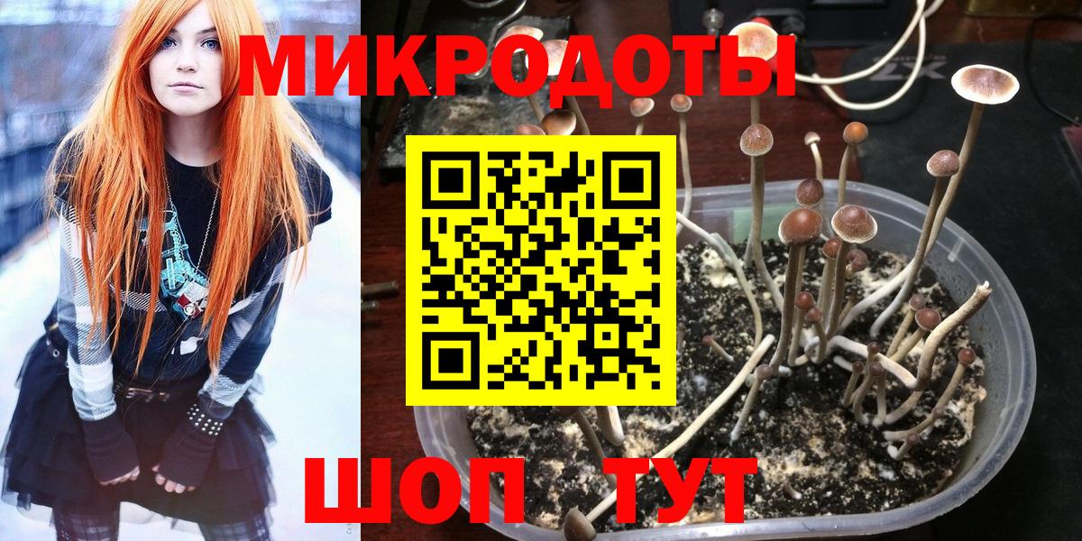 Сатка  Галлюциногенные грибы мухоморы  Галлюциногенные грибы MAGIC MUSHROOMS  закладка  Вход с VPN 