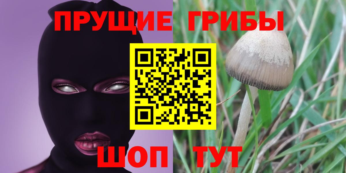 Галлюциногенные грибы Psilocybe Сатка